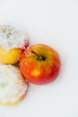 Apfel im Schnee