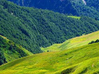 Obraz premium Field and cloudy sky. Natural summer landscape