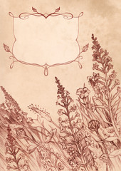Pencil hand-drawing in sepia. Vertical background with flowers a
