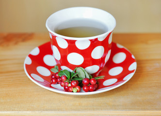 Cowberry (Vaccinium vitis-idaea) tea
