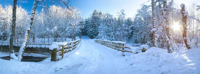 Fototapete Winter Panoramablick auf die Brücke im Winter