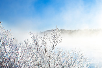 Misty winter landscape, captured in Finland