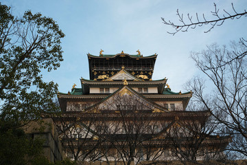 Fototapeta premium 大阪城 天守閣