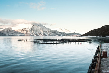 Obraz premium Fish farms in northern Norway