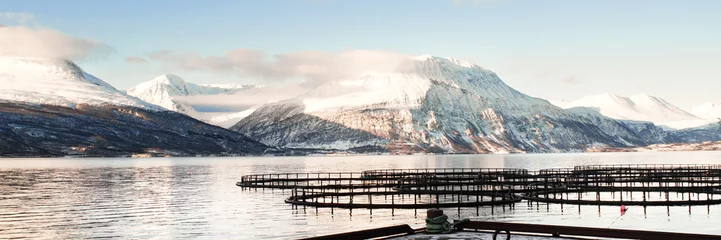 Foto auf Acrylglas Fish farms in north Norway 3/1 Ratio © mur162