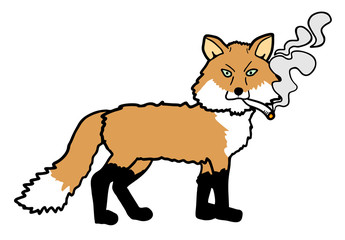 Smoking fox