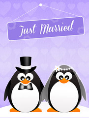 Naklejka premium Wedding of penguins