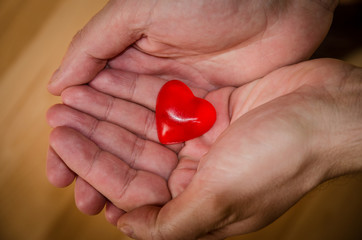 Fototapeta premium red heart in hand