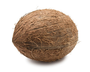 Coconut