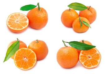 Mandarins