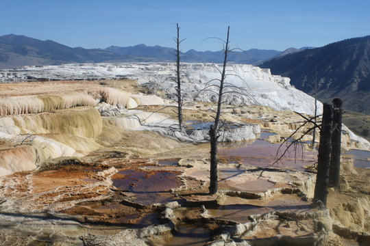 pozze di acqua nel deserto americano, yellowstone