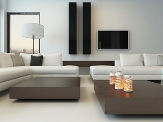 Modern white living room with wooden furniture