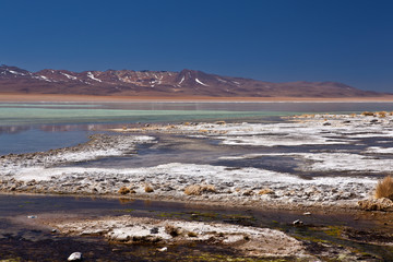 Bolivia - laguna