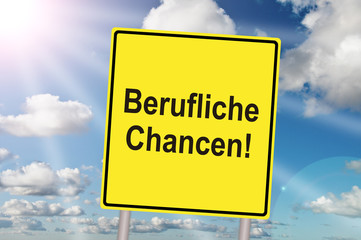 Berufliche Chancen