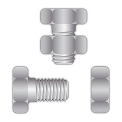 Bolt or screw with screw nut