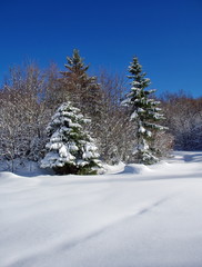 paysage hivernal de savoie-france