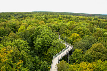 Baumkronenpfad