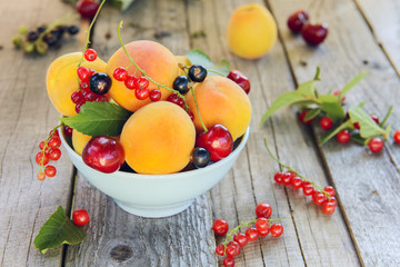 Assorted fruits and berries (apricots, cherry, black and red cur