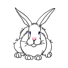 Hand drawn vector rabit