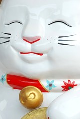 Lucky cat belief of Japanese