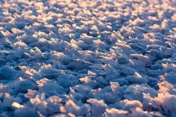 Large crystals of snow at sunset
