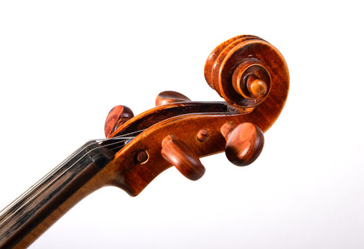 Violine