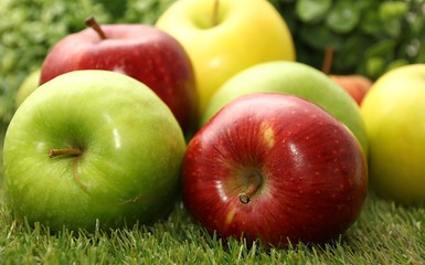 Apfel