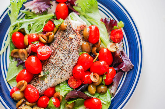 Baked seabass with tomatoes and basil on white background