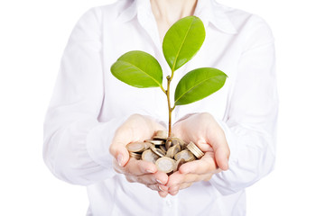 Growing plant with coin money on businesswoman hands, isolated o