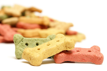 Dog Treats