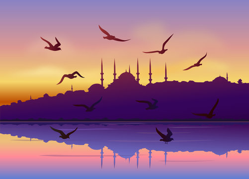 Martılar ve İstanbul