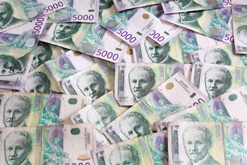 Fototapeta na wymiar Serbski walut - Sterty banknotów 5000 Dinar