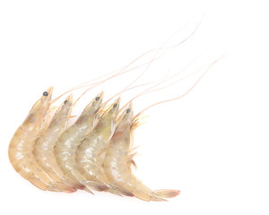 raw shrimps
