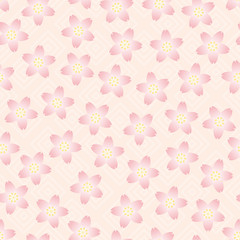 CherryBlossom_background05