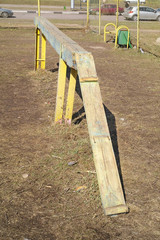 Doggy area