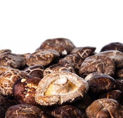 Dried Shiitake Mushroom Background with Copy Space