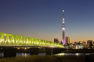 Obraz premium Tokyo city view and tokyo skytree , sihouette skyline