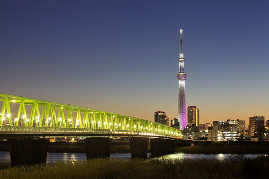 Tokyo city view and tokyo skytree , sihouette skyline