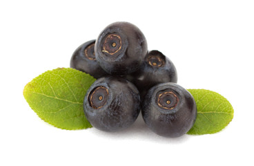 Fresh blueberries isolated on white background