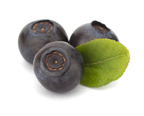 Fresh blueberries isolated on white background