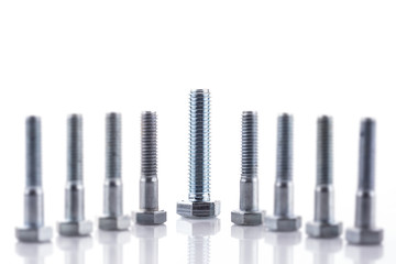 Group of screw-bolts isolated