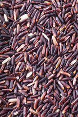 Black rice