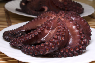 octopus in the table