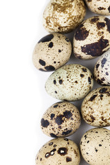Fototapeta premium Quail eggs border