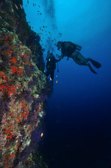 Obraz premium Steilwand