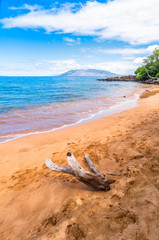 Fototapeta na wymiar famous Makena Beach in Maui, Hawaii