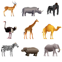 African animals vector set