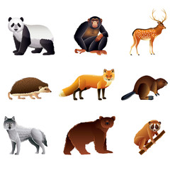 Asian animals vector set