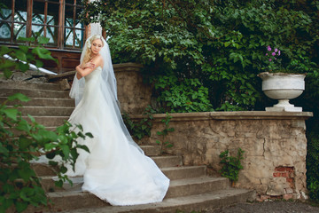 beautiful bride in a white wedding dress