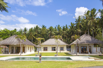 Fototapeta na wymiar house under the palms